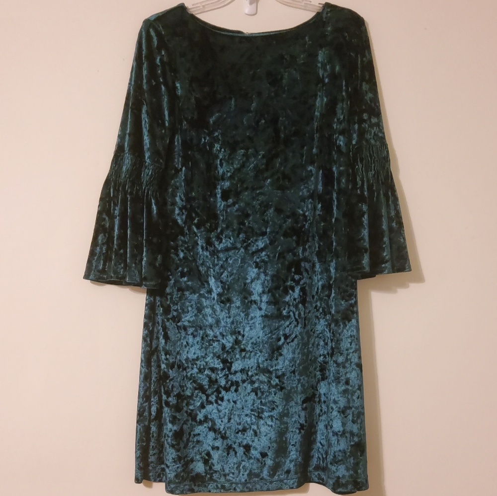 Elegant Velvet Smocked Long Flare Sleeve Shif Dress In  Deep Green